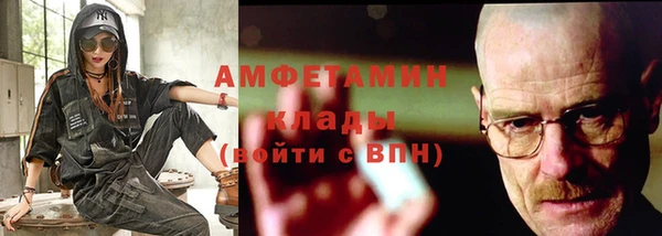 индика Кулебаки