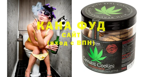 индика Кулебаки