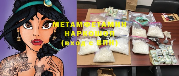 индика Кулебаки