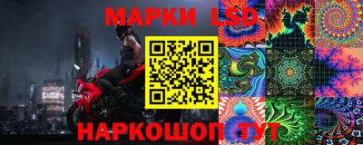 амф Бийск
