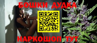 амф Бийск