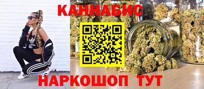 амф Бийск