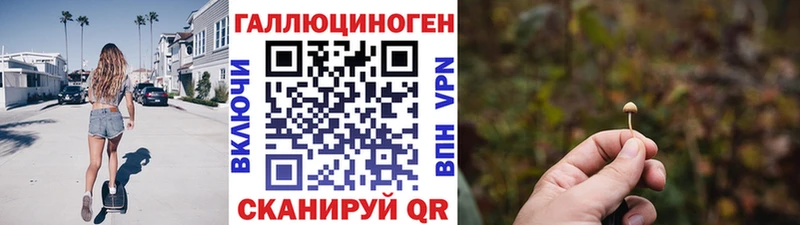 Галлюциногенные грибы Psilocybine cubensis  Батайск 