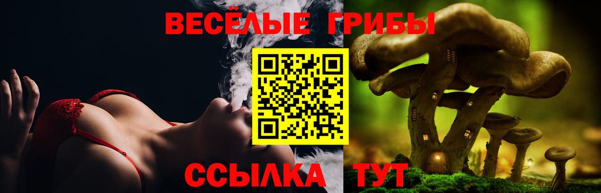 Галлюциногенные грибы Psilocybine cubensis  Галлюциногенные грибы Magic Shrooms  Батайск  Вход с VPN 